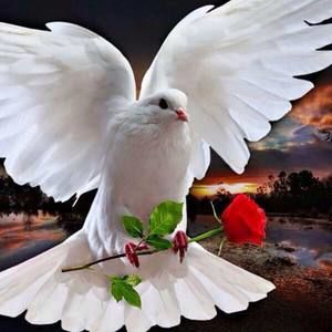 Meet your Posher, Mayra